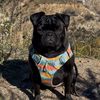 papitheservicepug
