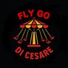 flygo_dicesare