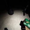 beginnerboxer