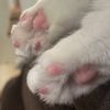 hella_paws21