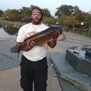@nyccarpsinthepark