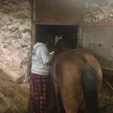 @rkh184