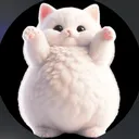 @zqrr.eth