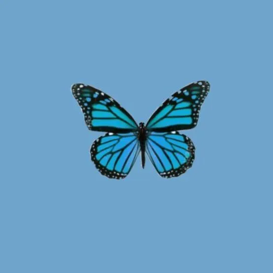 @random_account680