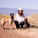 @mazethedoberman