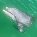 @captain.jennifer4