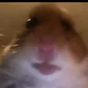 @filiptheboss1p