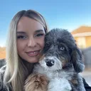 @archiethebernedoodle