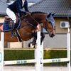 litequus