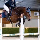 @litequus