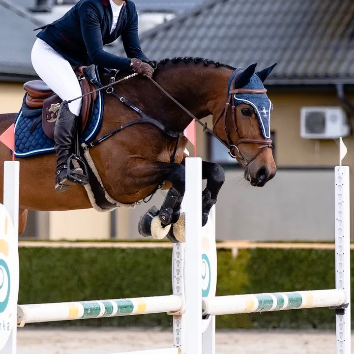 litequus
