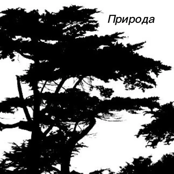 pholipio
