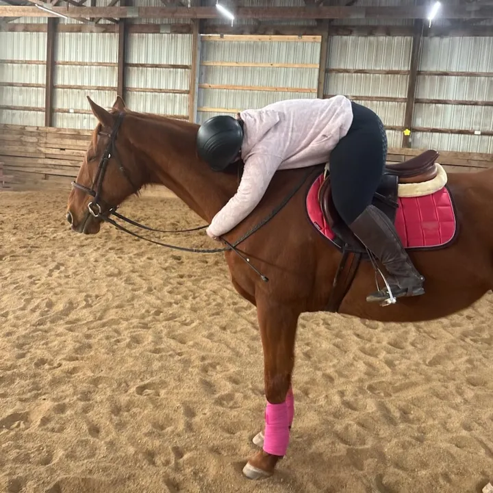 @ella_eqacc
