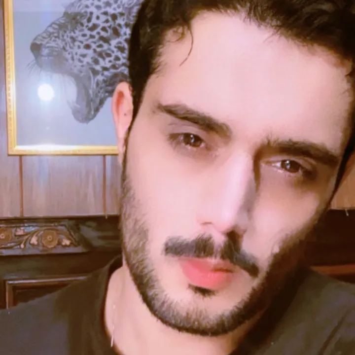 aleearslan1