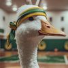 twofeatherstravels