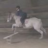 horsie_rider