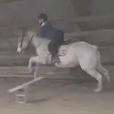 @horsie_rider