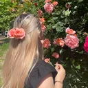 @m.danaa.a