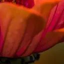 @ashleyhopeeeexb