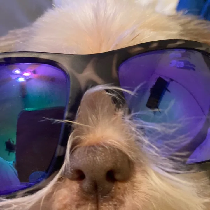 butterdog143