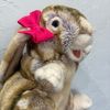 rabbitdaisymae