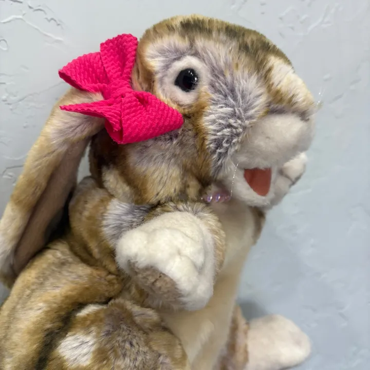 rabbitdaisymae