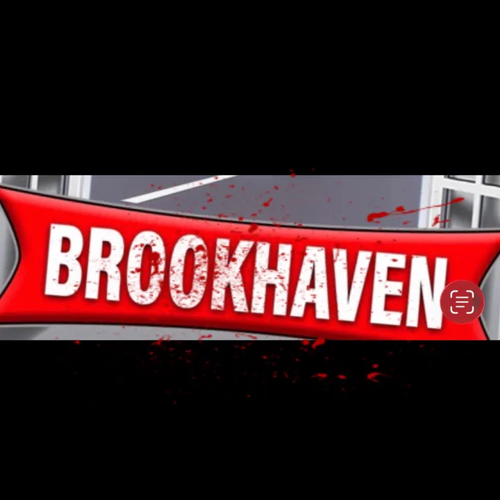 @brookhavensouthcrimes