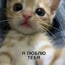@sofochkkk