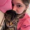 abbey_harts
