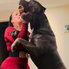 alpha_z_kennels