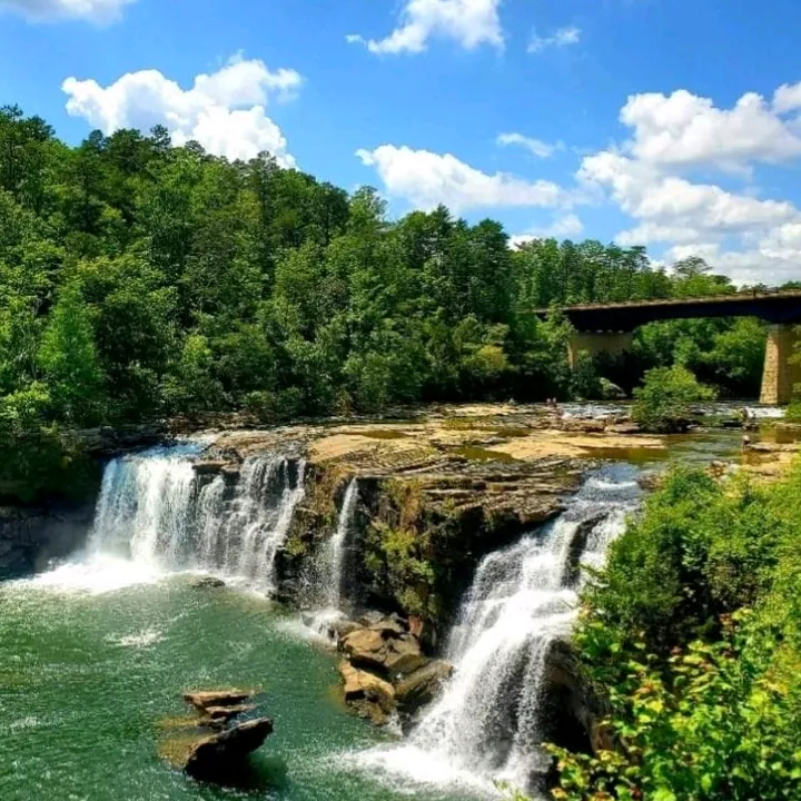 @naturesfanpage