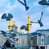 adil_jan512