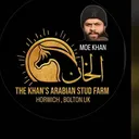 @thekhansarabianstudfarm