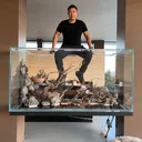 @tmk_aquarist
