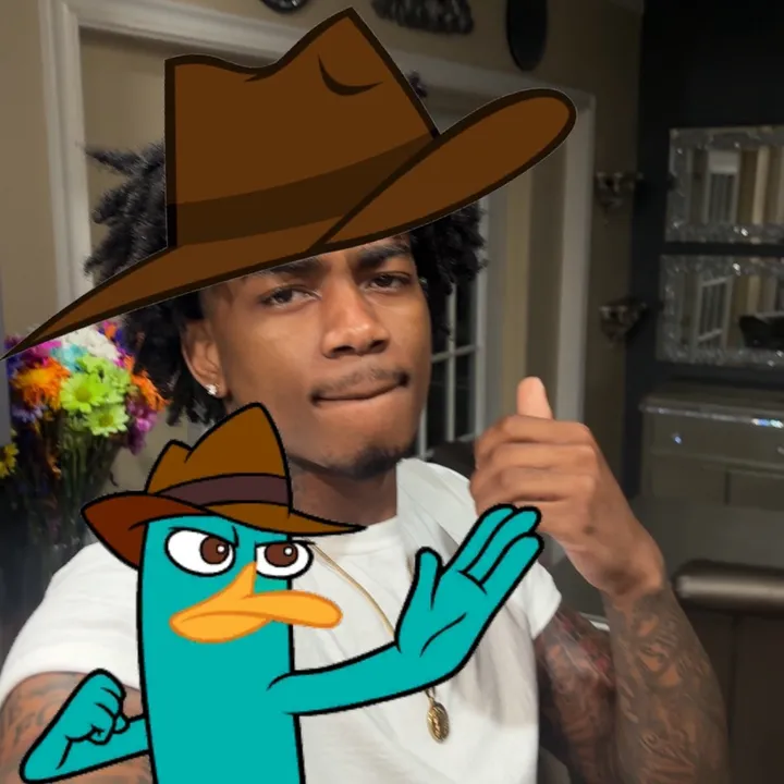 @vote4perry