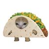 michi_taco_o_o