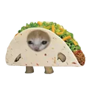 @michi_taco_o_o