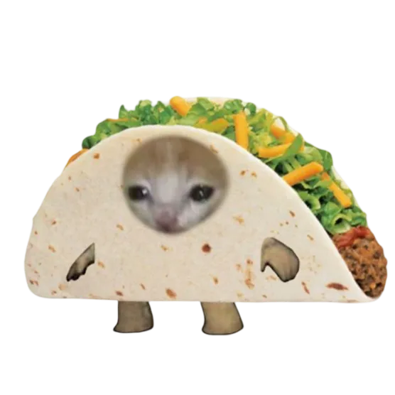 michi_taco_o_o