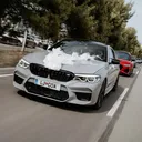 @coa.93