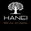 hanei.solutions