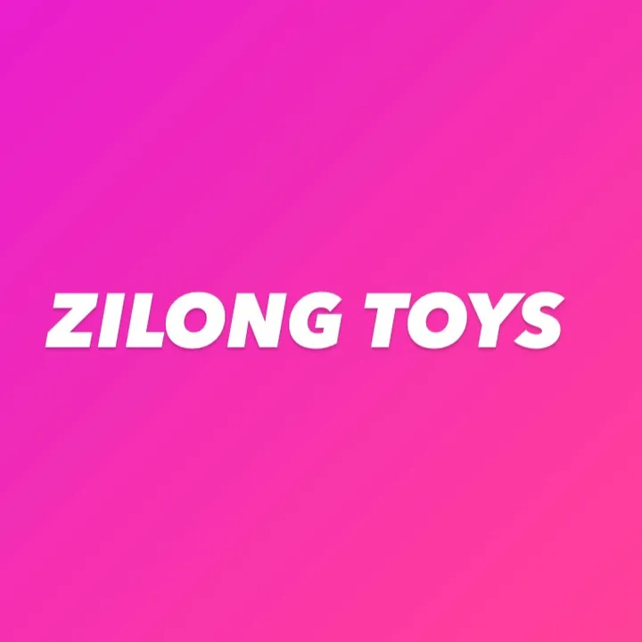 zilongtoy