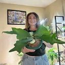 @plantparenthood93