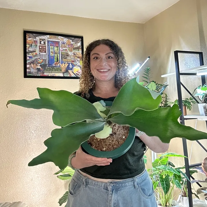 @plantparenthood93