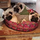 @pugsenaccion