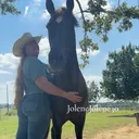 @ranchinjolene