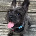 @jasperthefrorkie