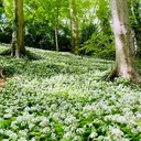 @in_nature01