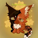 @bl00m_on_pawz