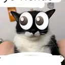 @ttgzmo