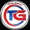 tiktok_galsen2